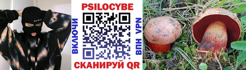 Купить  Полысаево  Галлюциногенные грибы GOLDEN TEACHER 